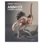 Animaux à corps ouvert vignette