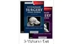 Veterinary surgery vignette
