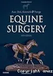 Equine surgery vignette
