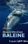 Dans la tête d'une baleine vignette