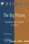 The big picture vignette