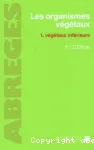vignette