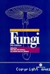 Dictionary of the fungi vignette