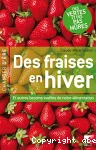 Des fraises en hiver vignette