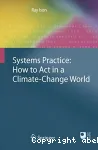 Systems practice vignette