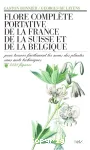 vignette