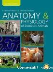 Anatomy and physiology of domestic animals vignette